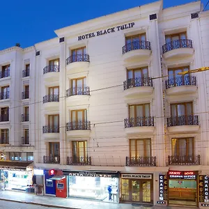 black-tulip-hotel.istanbul-turkeyhotels.com/